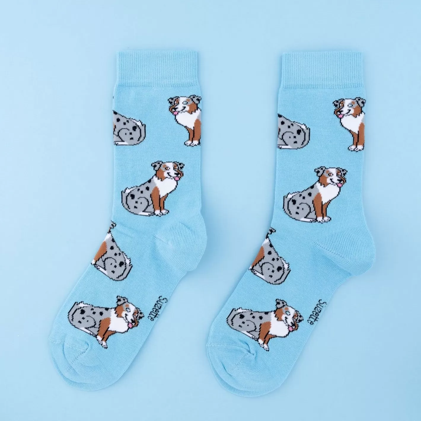 Australian Shepherd Socks>Coucou Suzette Fashion