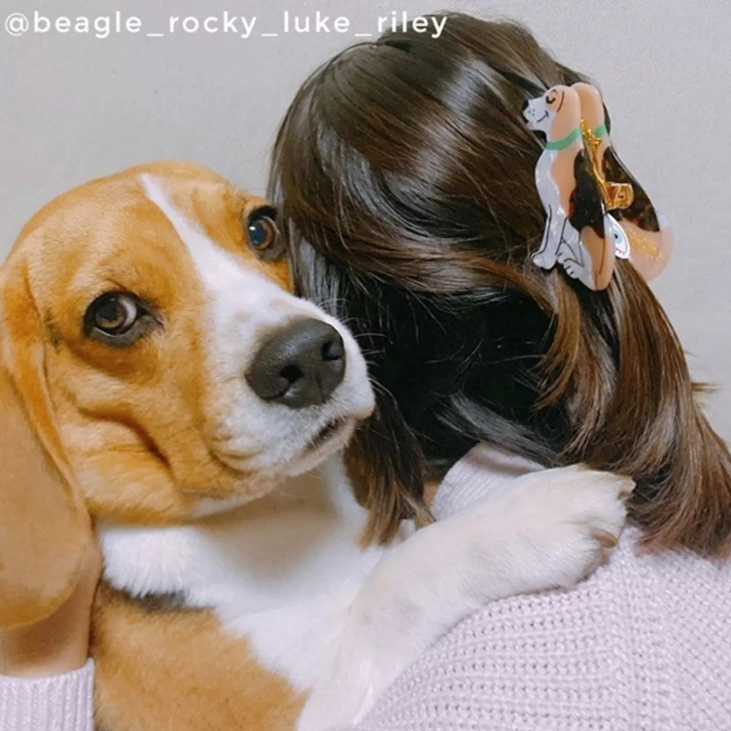 Beagle Hair Claw>Coucou Suzette Outlet