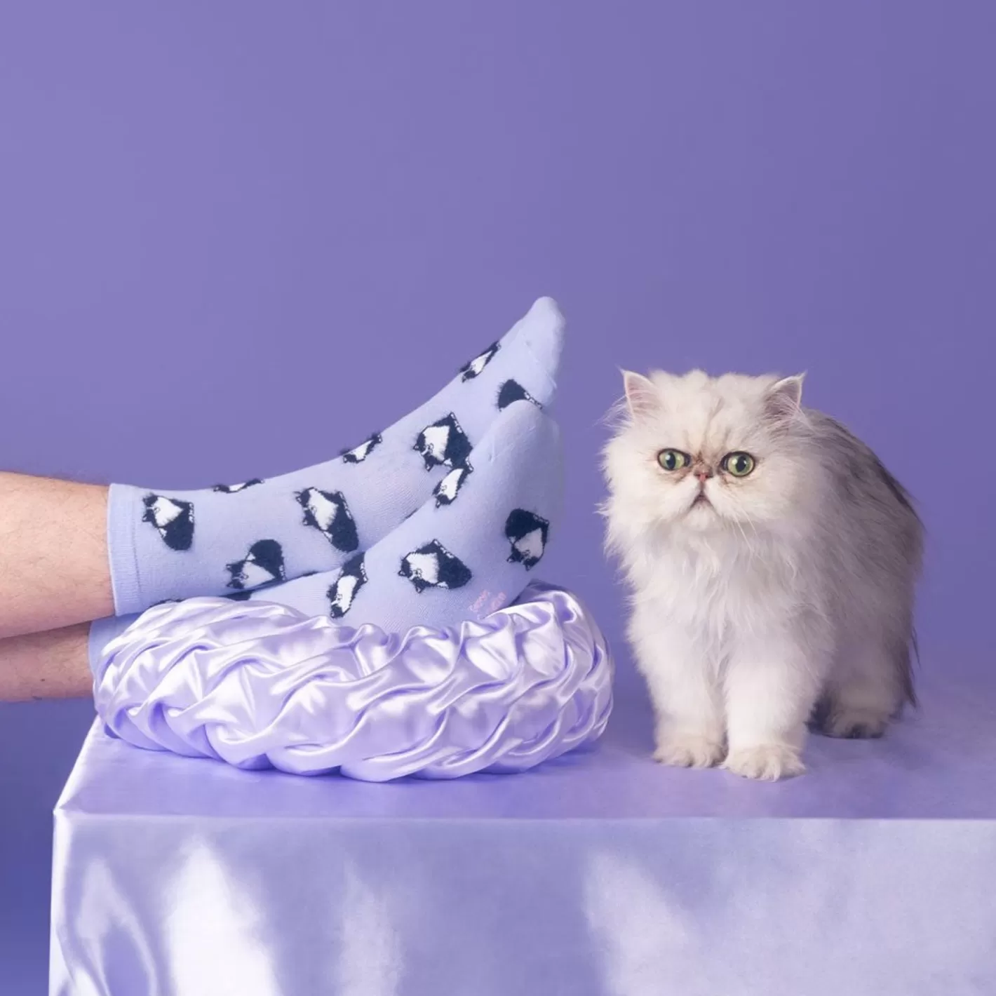 Black & White Cat Socks>Coucou Suzette Flash Sale