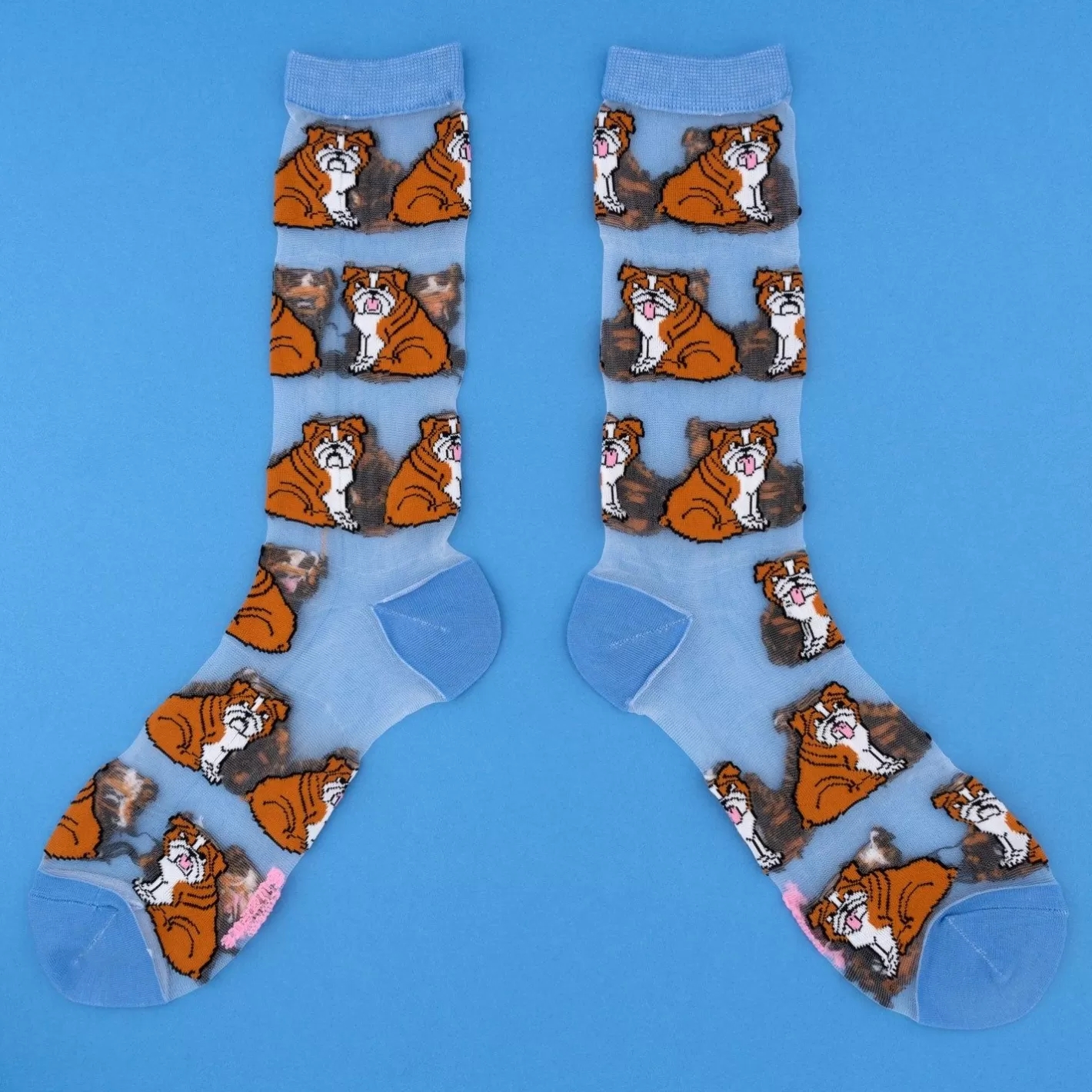 English Bulldog Sheer Socks>Coucou Suzette Hot