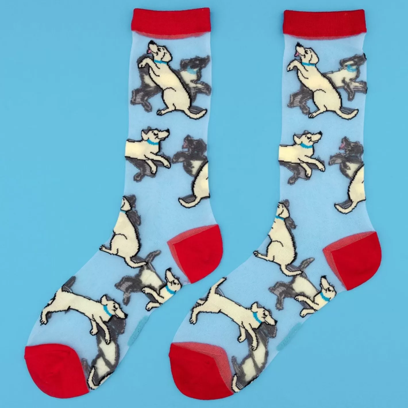 Golden Retriever Sheer Socks>Coucou Suzette Flash Sale