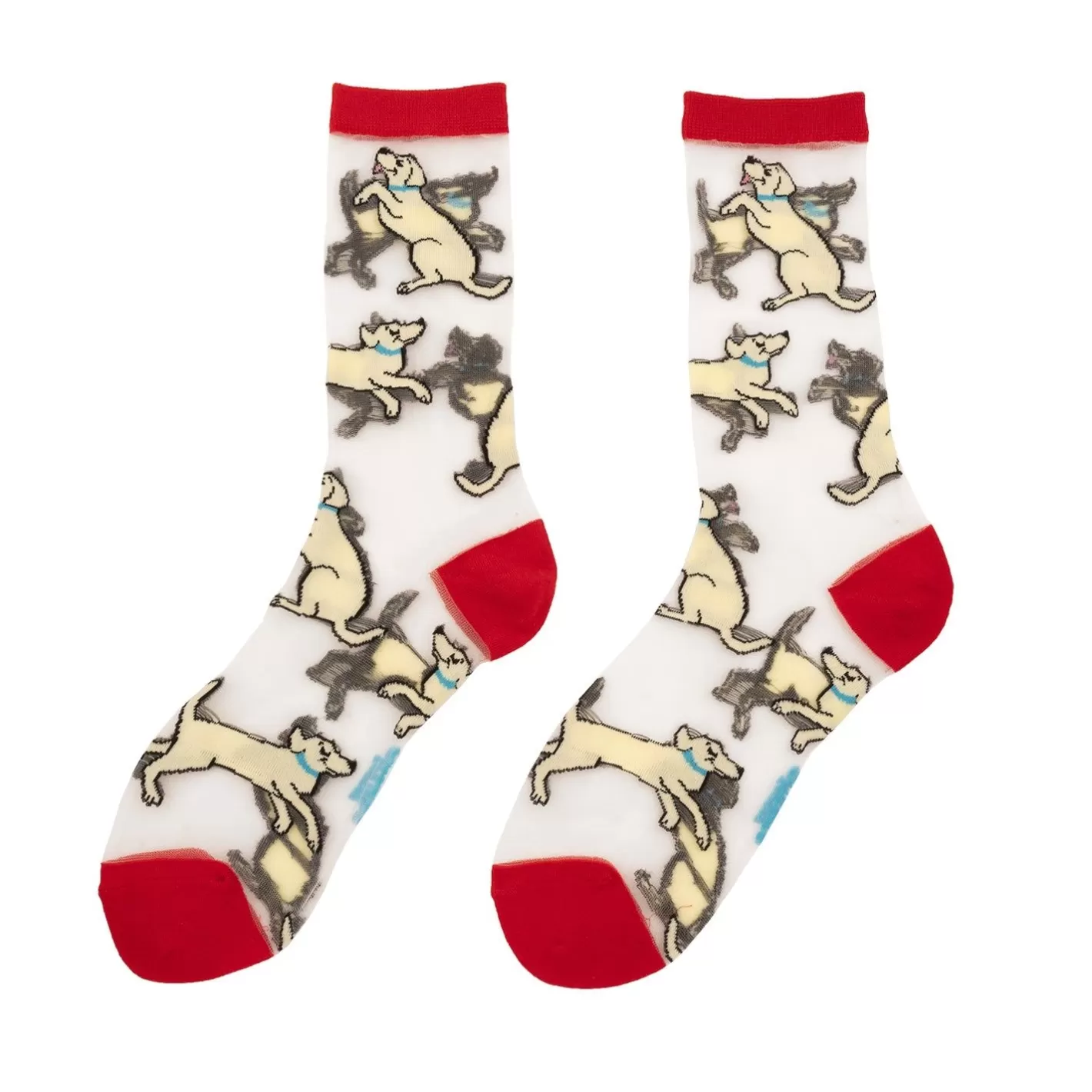 Golden Retriever Sheer Socks>Coucou Suzette Flash Sale