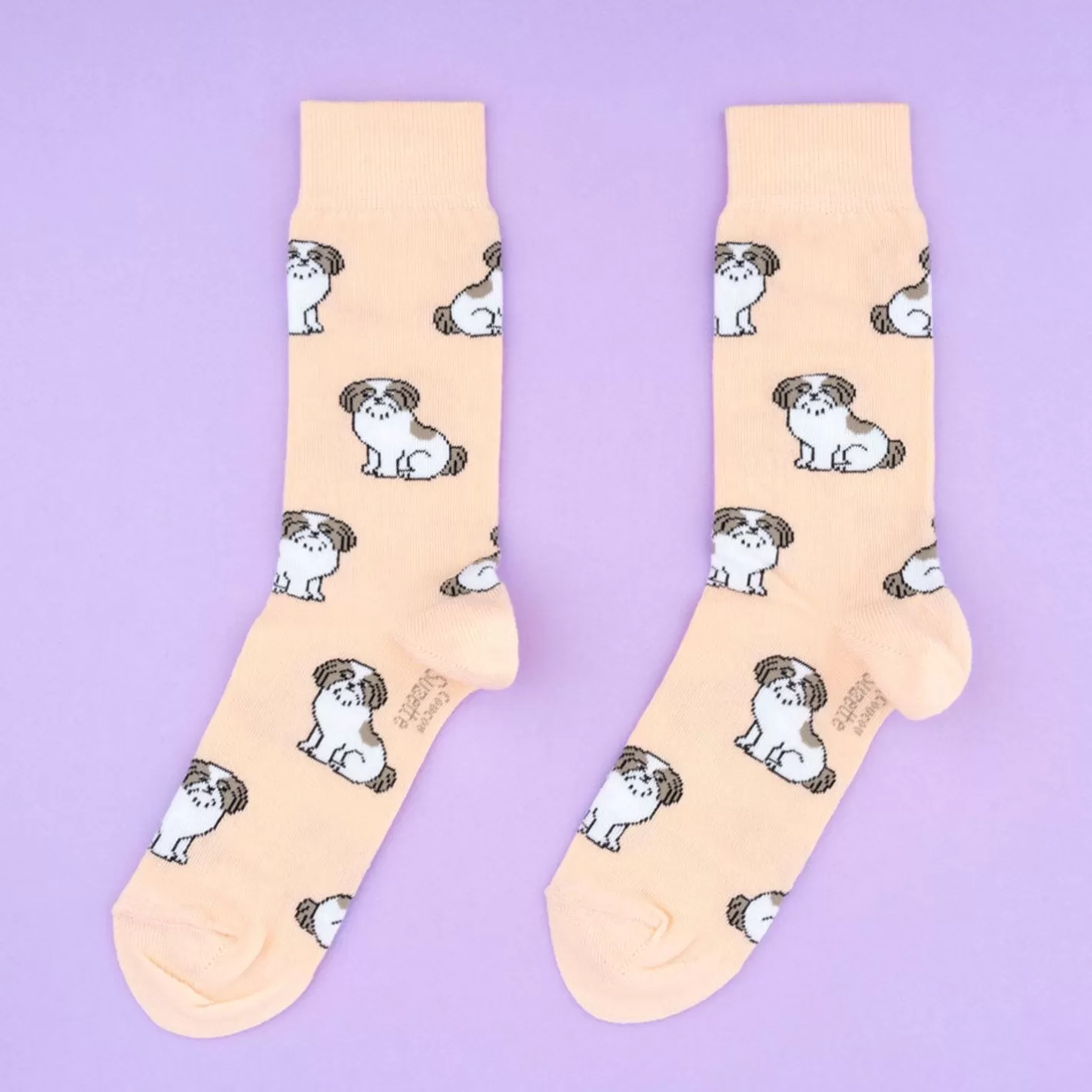 Shih Tzu Socks>Coucou Suzette Fashion