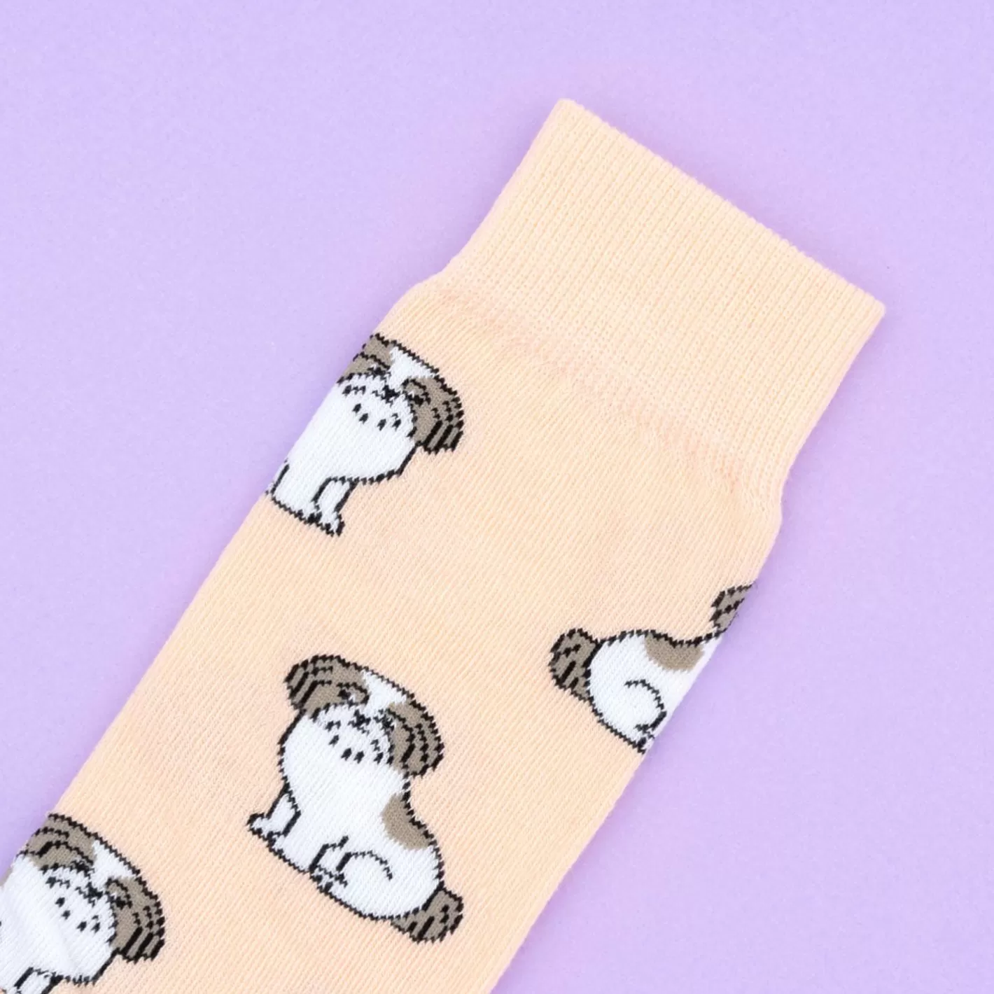 Shih Tzu Socks>Coucou Suzette Fashion